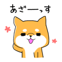 My Shiba dog 2 sticker #3943389