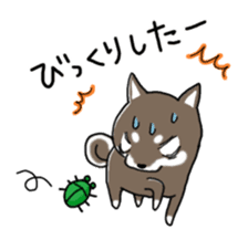 My Shiba dog 2 sticker #3943397