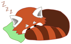 little red panda sticker #3945436