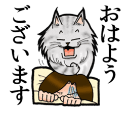 MaineCoon Cat MUNI sticker #3946711