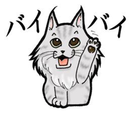 MaineCoon Cat MUNI sticker #3946713