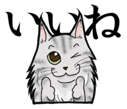 MaineCoon Cat MUNI sticker #3946716