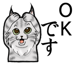 MaineCoon Cat  MUNI sticker #3946717