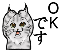MaineCoon Cat MUNI sticker #3946717