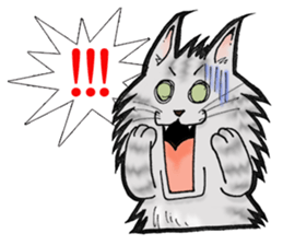 MaineCoon Cat  MUNI sticker #3946719