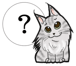 MaineCoon Cat MUNI sticker #3946720