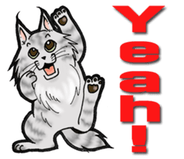 MaineCoon Cat MUNI sticker #3946723