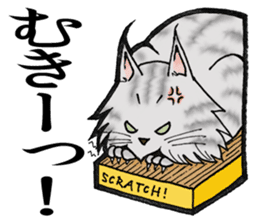 MaineCoon Cat MUNI sticker #3946724