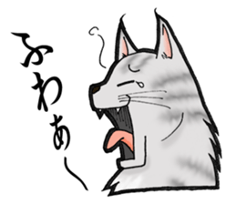 MaineCoon Cat  MUNI sticker #3946725