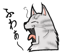 MaineCoon Cat MUNI sticker #3946725