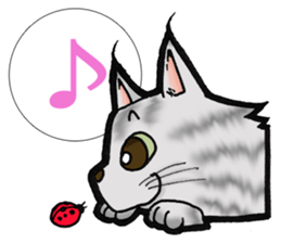 MaineCoon Cat  MUNI sticker #3946728