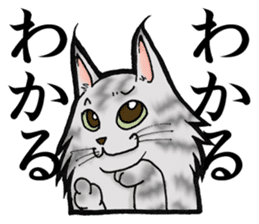 MaineCoon Cat MUNI sticker #3946729