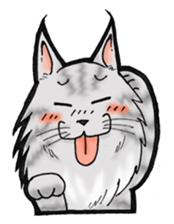 MaineCoon Cat  MUNI sticker #3946731