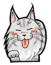 MaineCoon Cat MUNI sticker #3946731