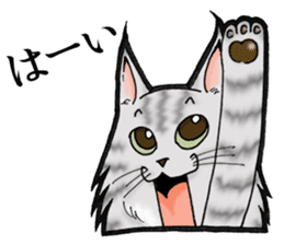 MaineCoon Cat MUNI sticker #3946732