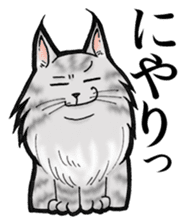 MaineCoon Cat MUNI sticker #3946734