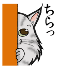 MaineCoon Cat MUNI sticker #3946738