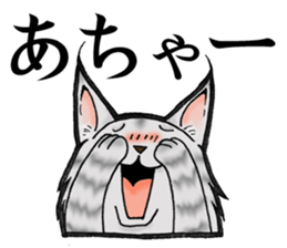 MaineCoon Cat  MUNI sticker #3946739