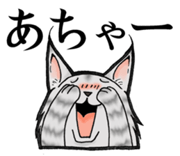 MaineCoon Cat MUNI sticker #3946739