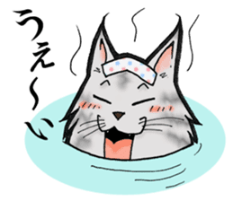 MaineCoon Cat MUNI sticker #3946740