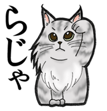 MaineCoon Cat MUNI sticker #3946741