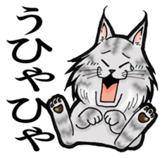 MaineCoon Cat  MUNI sticker #3946744