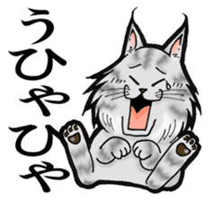 MaineCoon Cat MUNI sticker #3946744