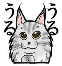 MaineCoon Cat  MUNI sticker #3946746