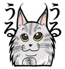 MaineCoon Cat MUNI sticker #3946746