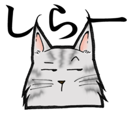 MaineCoon Cat  MUNI sticker #3946747