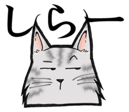 MaineCoon Cat MUNI sticker #3946747