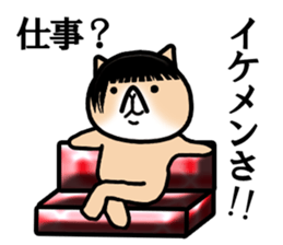 Good looking guy Cat sticker #3946933