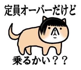 Good looking guy Cat sticker #3946939