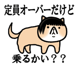 Good looking guy Cat sticker #3946939