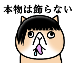 Good looking guy Cat sticker #3946965