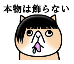 Good looking guy Cat sticker #3946965