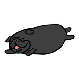 Japanese Black pugs sticker #3947137