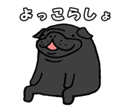 Japanese Black pugs sticker #3947142