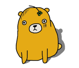 four leaf clover bear sticker #3947341