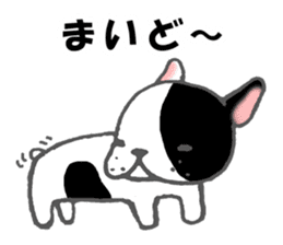 french bulldog stickers 2nd / pide sticker #3947705