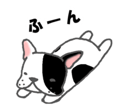 french bulldog stickers 2nd / pide sticker #3947718