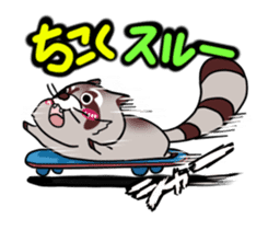 Cheerful raccoon sticker #3949573