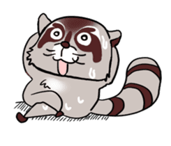 Cheerful raccoon sticker #3949602