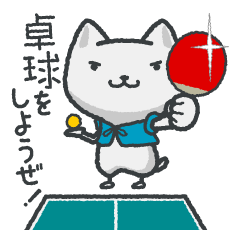 talk in table tennis!Sticker White cat