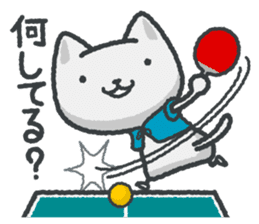 talk in table tennis!Sticker White cat sticker #3949663