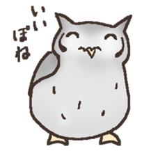 Owl POPOTA sticker #3950167