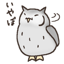 Owl POPOTA sticker #3950168