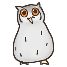 Owl POPOTA sticker #3950173
