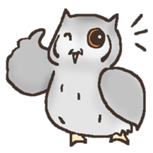 Owl POPOTA sticker #3950174
