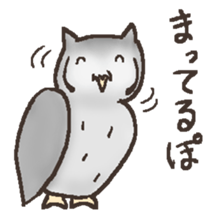 Owl POPOTA sticker #3950176